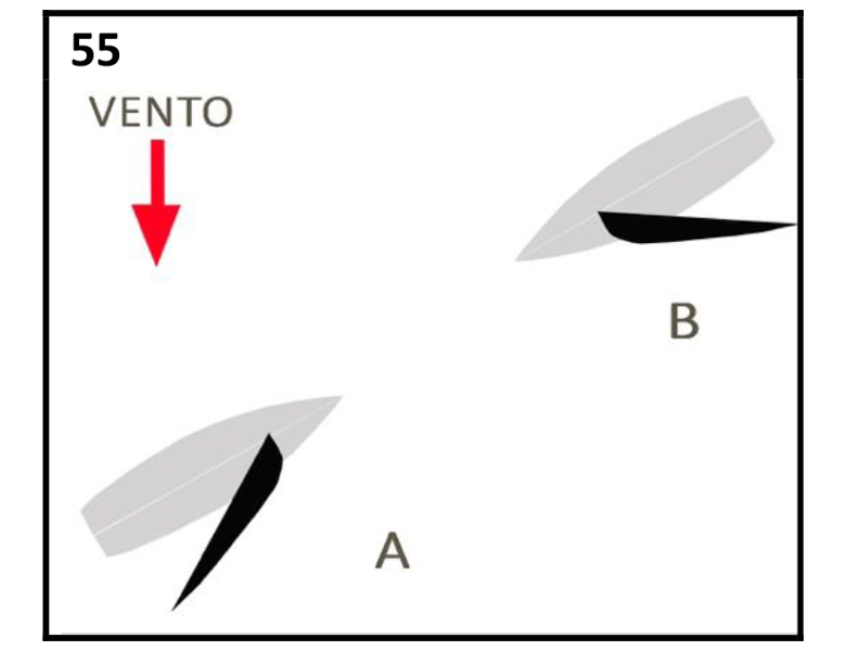 Quiz patente nautica immagine: 55