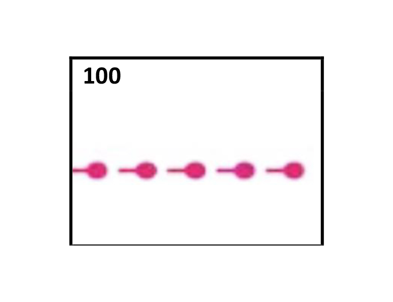 Quiz patente nautica immagine: 100